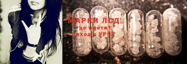 spice Корсаков